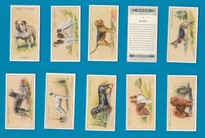 Tobacco cigarette cards set Dogs 1936