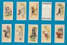 Tobacco cigarette cards set Dogs 1936