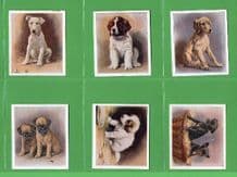 Tobacco Cigarette cards set Dogs - Our Puppies 1936