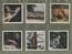 TRADE  cards set Disneyland true life Animal, Owls, Elephet ,Egale ,