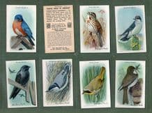Trade / Cigarette cards set Useful Birds of America 1926 Church-Dwight