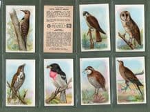 Useful Birds of America RareTrade cards set 1924 Church-Dwight