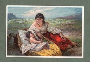 Victorian advertising trade card Beautiful image #196
