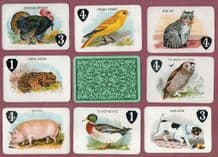 Victorian Collectible cards game. Animal Grab circa 1900-10