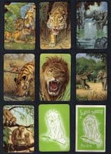 Vintage Collectible cards game Jungle Thrills by Pepys 1955