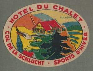 Vintage Hotel luggage label  Country Unknown #692