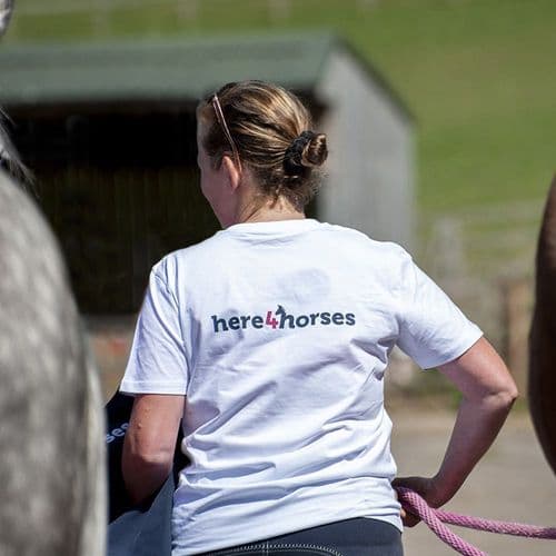 Adult Ladies Organic Tee Shirt Here4Horses EA01F