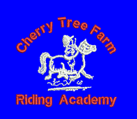 Adults Cherry Tree Farm Riding Academy  Royal Hoodie JH001