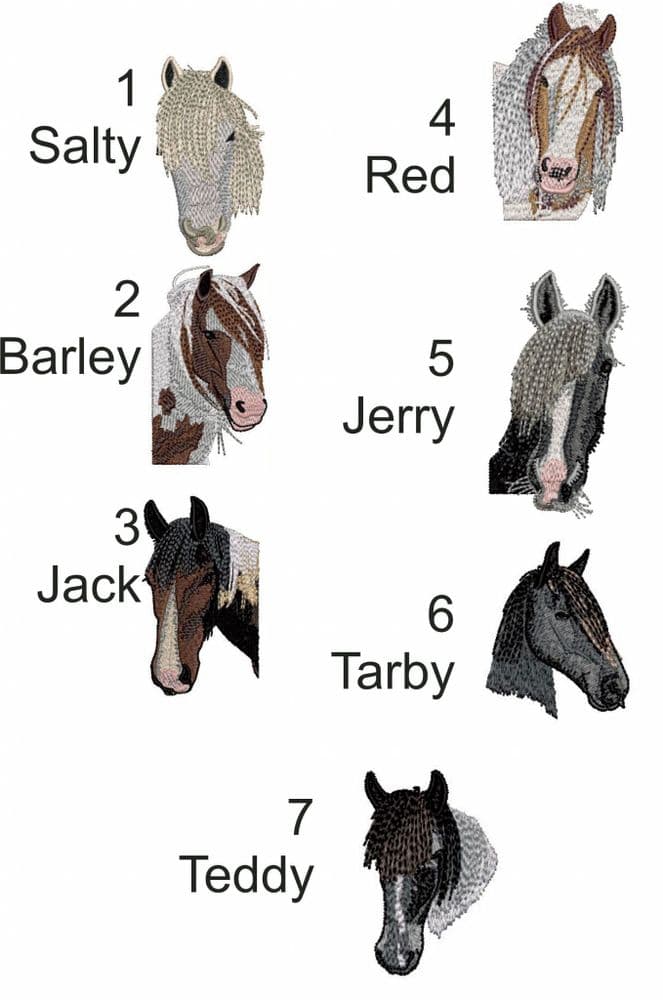 Adults Hoodies - Sinderhope pony trekking centre JH001