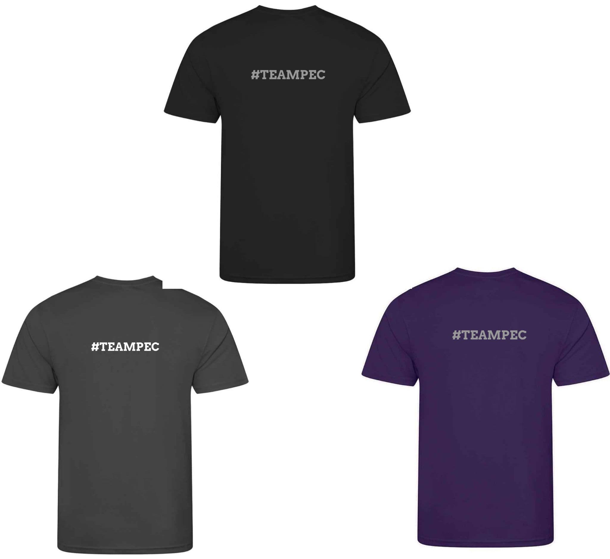 ADULTS Penshaw Equestrian Cool T-shirt - JC001