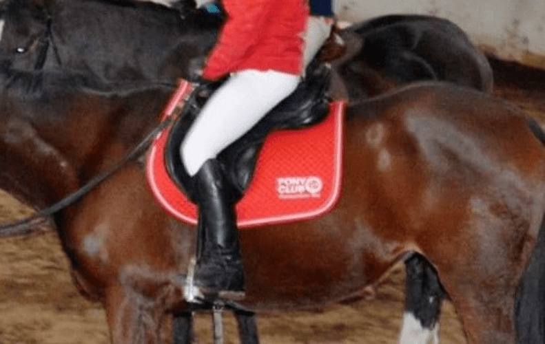 Carmarthen Bay PC GP red saddlecloth