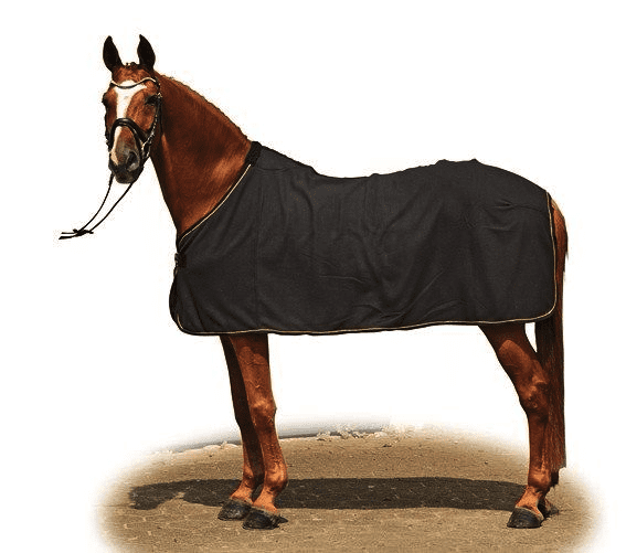 Caterham Black School Rugs