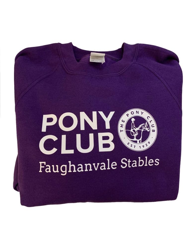 Children's Faughanvale Stables purple Sweatshirt 7620B