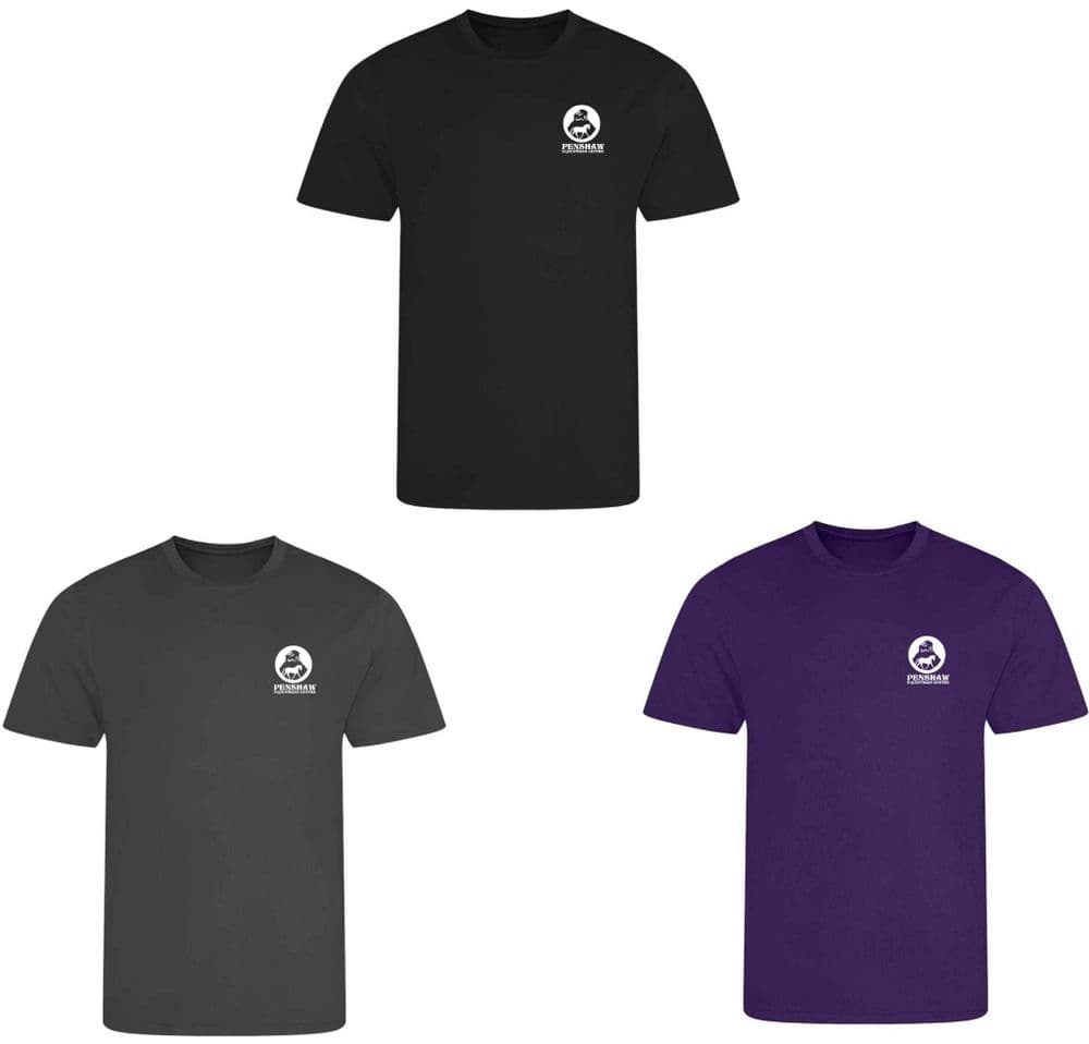 CHILDRENS Penshaw Equestrian 'Cool' T-shirt - JC001B