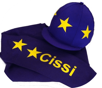 Childrens Purple Sweartshirt & Matching Silk