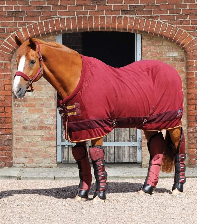 Harrogate Grammar School Premier Equine Buster Fleece Cooler Rug - Continental Edition, Burgundy