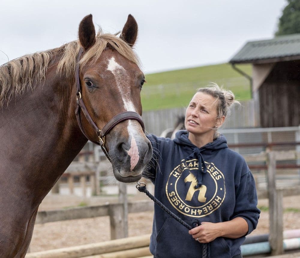 Kids Here4Horses Classic Navy/Gold Hoodies