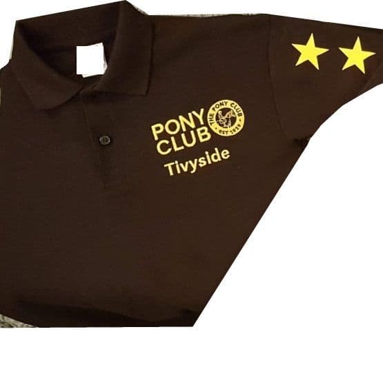 Ladies Fit Tivyside PC Polo Shirt - Black