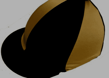 Lord Wandsworth College Silk Black/Gold silk with orange button