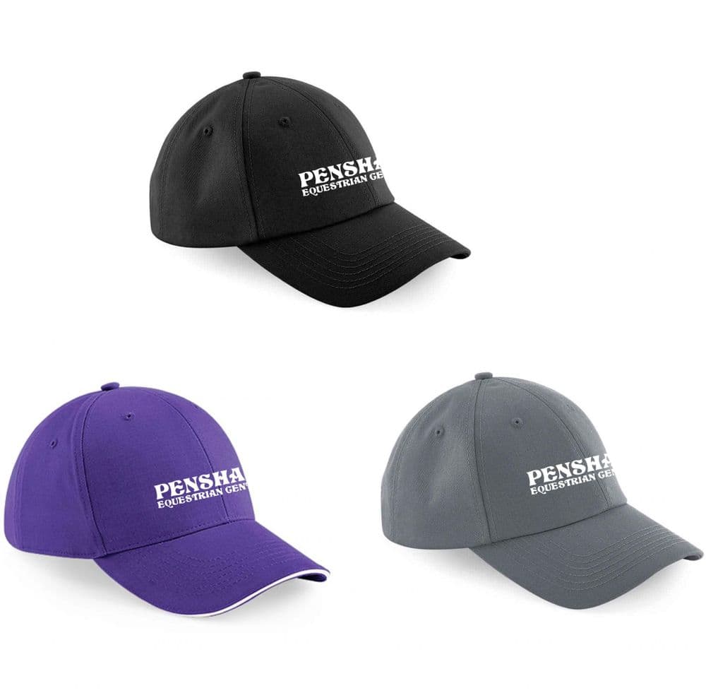 Penshaw Equestrian Cap - BB59 / BB20 (purple)