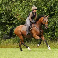 Personalised HY Close Contact Saddlecloth