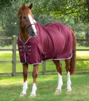 Premier Equine Buster Waffle Cooler - Embroidered with your name.