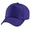 Teeswater Sheep Breeders' Caps. BC010