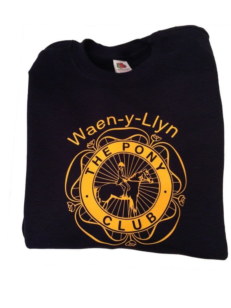 Waen-y-Llyn PC Adults Navy Sweatshirt