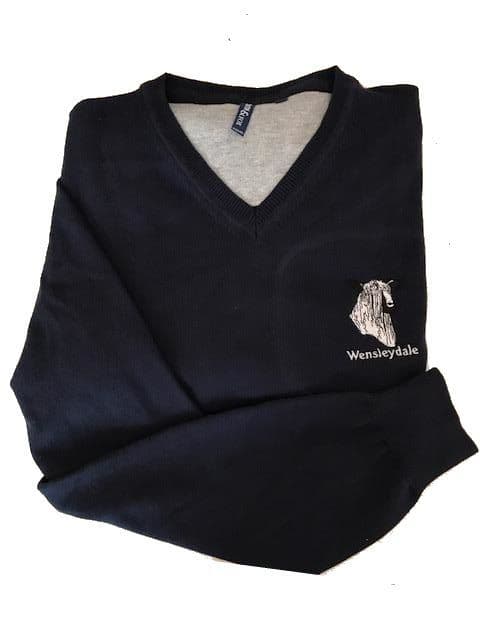 WLSBA Woolen V Neck Jumper aq042