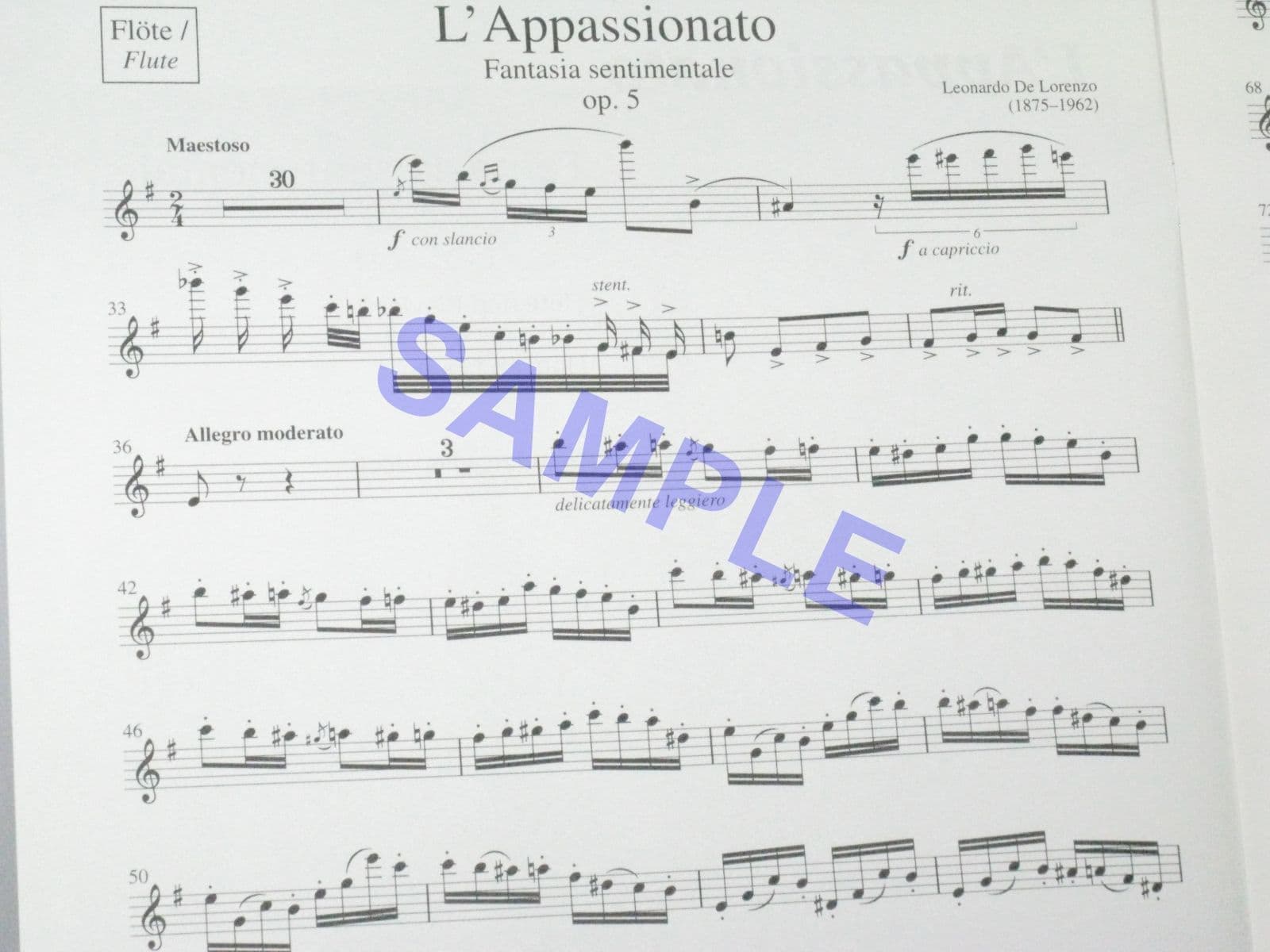 Colours Fantasia In Do Sm 83 Sonata Sentimentale Op 15 'Le Deluge - 12