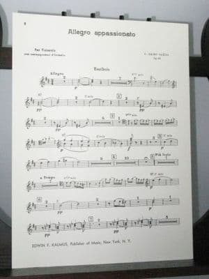 Saint Saens C - Allegro Appassionato Op 43 Oboes 1&2 Part