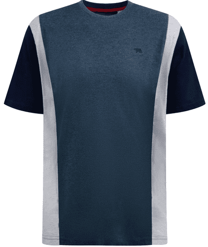 D555 CUT N SEW PANEL  T SHIRT - NEATH