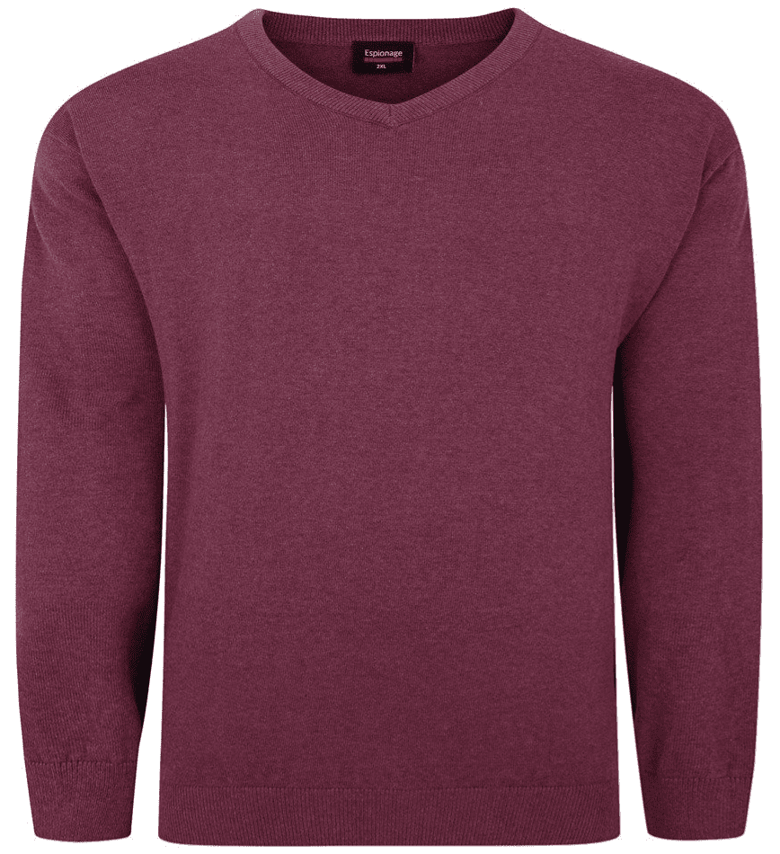 ESPIONAGE V NECK COTTON JUMPER - GRAPE