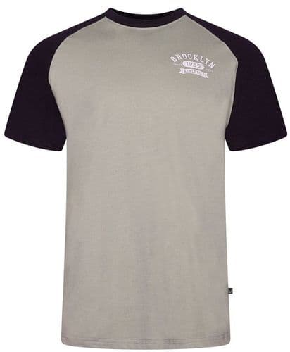 KAM BROOKLYN  RAGLAN T SHIRT - STONE