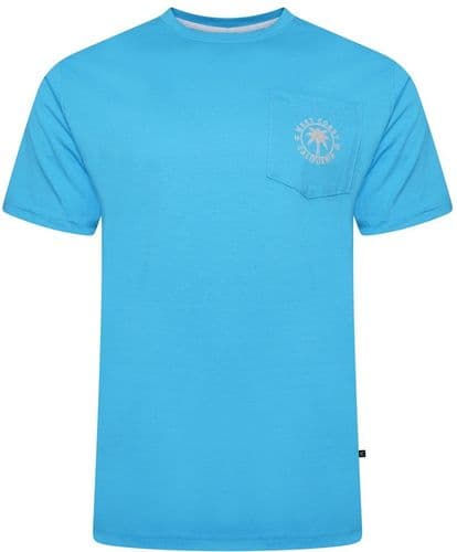 KAM PASADENA T SHIRT WITH REVERSE PRINT - BLUE