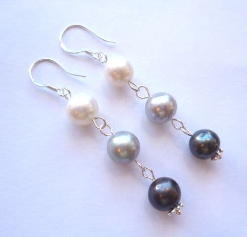 3 Colour Pearl Earrings on Silver