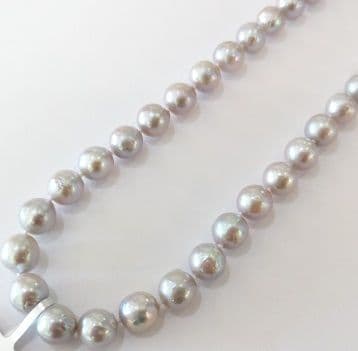 Grade A grey pearl necklace