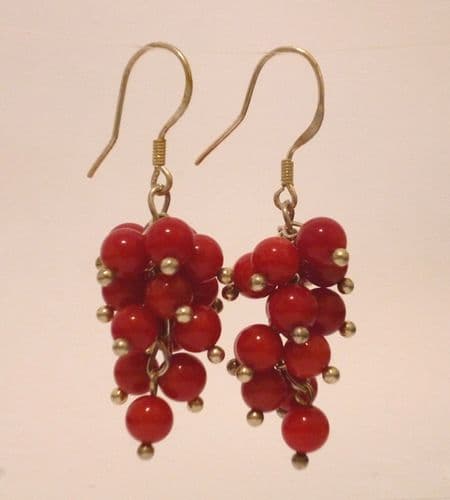 Red coral cluster ear-rings.