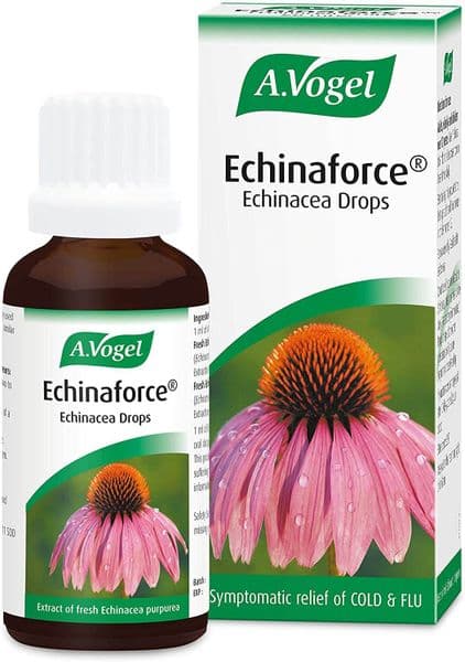 Echinaforce Echinacea Tincture Drops 100ml (large bottle)