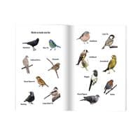 My Wellbeing Garden Robin