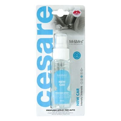New Car Sky Blue Spray Bottle Fragrances