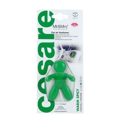 Warm Spicy Green Car Fragrances
