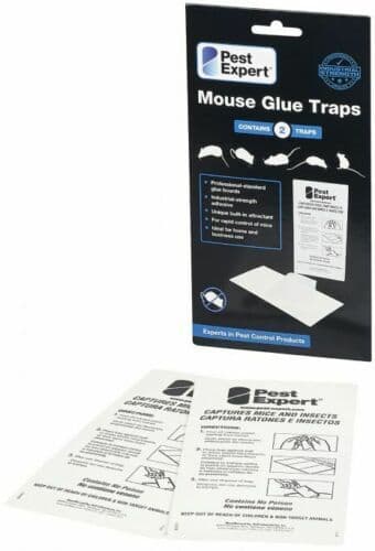 Glue Traps For Mice / Sticky Mouse Traps (twinpack)