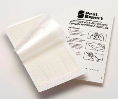 thumbnail interactive-video image 1 of Bulk Mouse Glue Boards - 60 Count Case For Mice, Roaches, And Insects, Pre-Baited 1 of 1