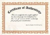 Dorato Round 200mm Shower Head