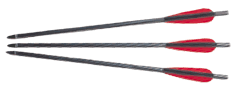 17 inch 2018 Crossbow Bolts x 5