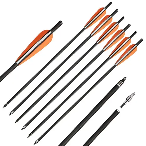 20" Carbon Bolts With Points (6 pack)