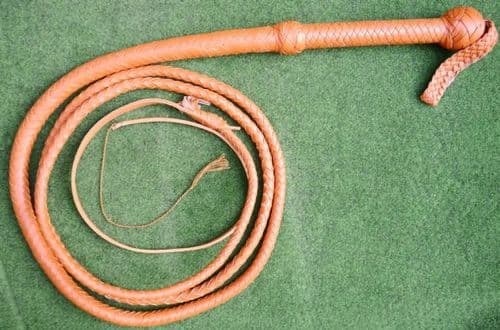 8ft Budget Handmade 16 plait leather Bullwhip