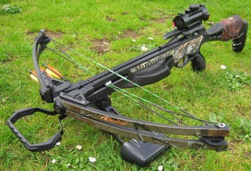 Barnett Jackal - SOLD