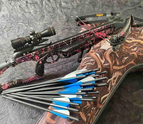 Barnett Raptor Lady Pink + Barnett Whitetail Hard Case + 18 arrows - SOLD